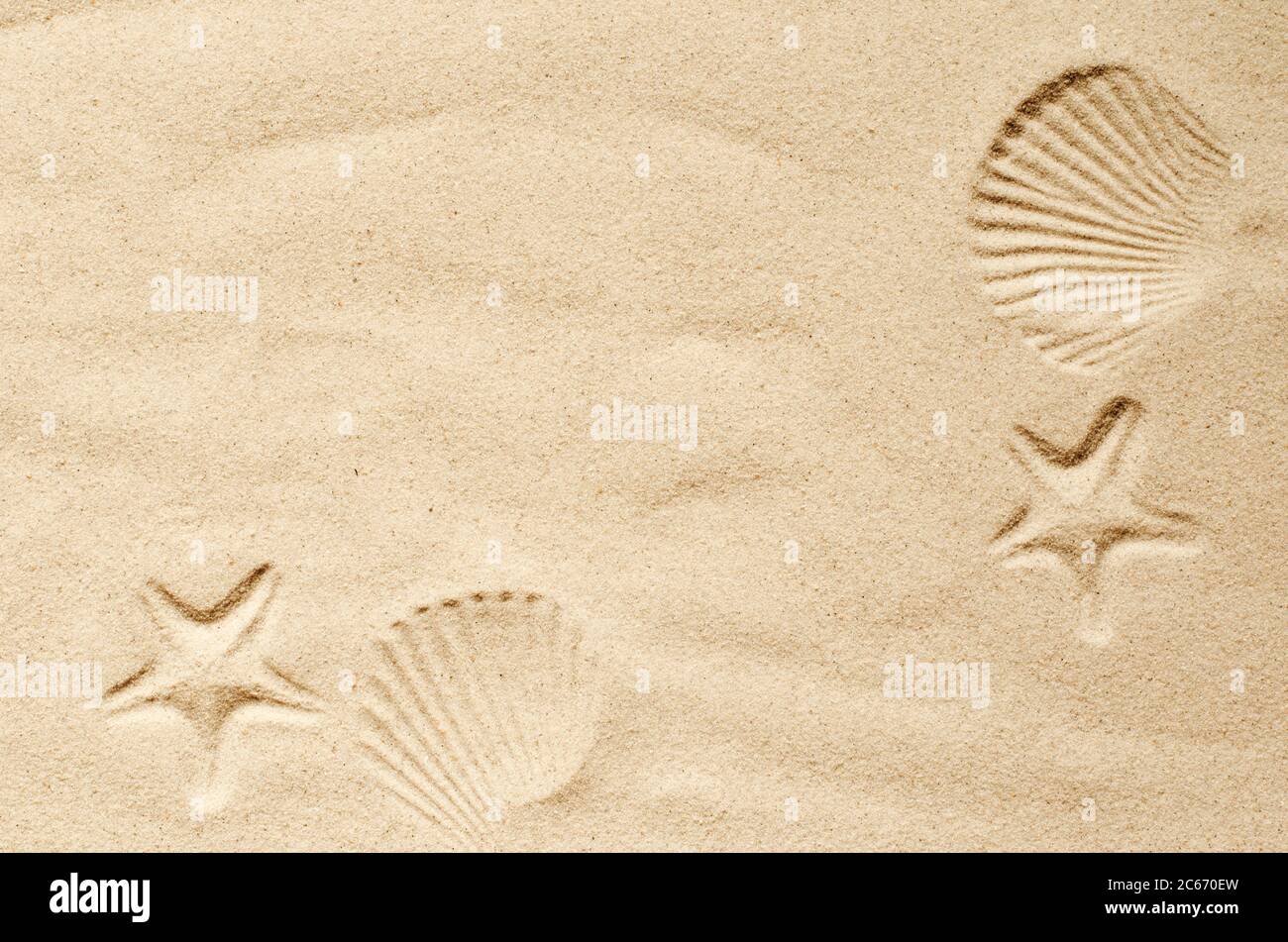 Vue de dessus d'une plage de sable, texture de sable propre d'une surface naturelle. Sable fond. Empreintes de mollusques et d'étoiles de mer dans le sable. Banque D'Images