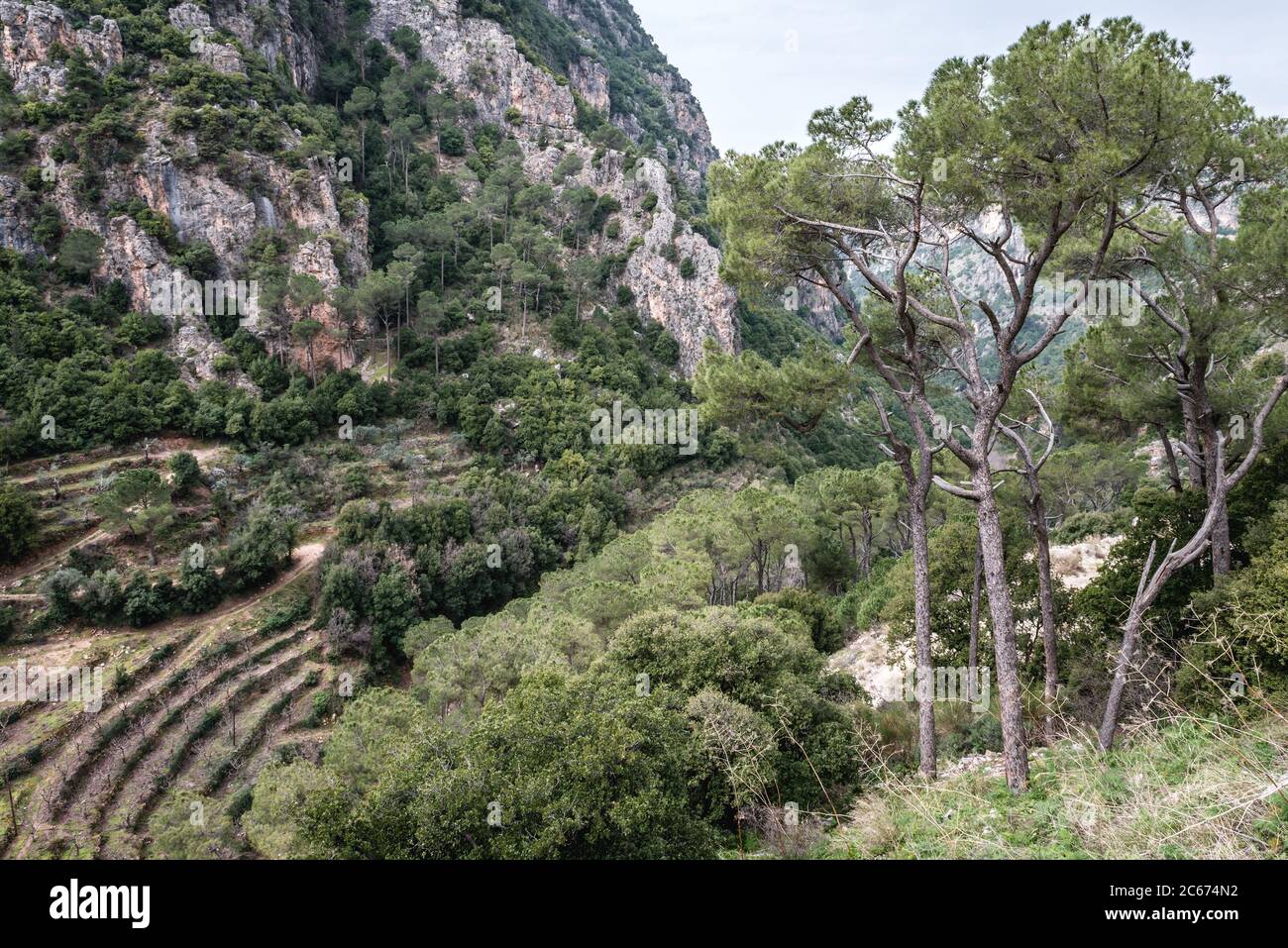 Vue aérienne du monastère de Saint Anthony le Grand aussi appelé monastère de Qozhaya dans la vallée de Kadisha - la vallée Sainte dans le gouvernorat du Nord du Liban Banque D'Images