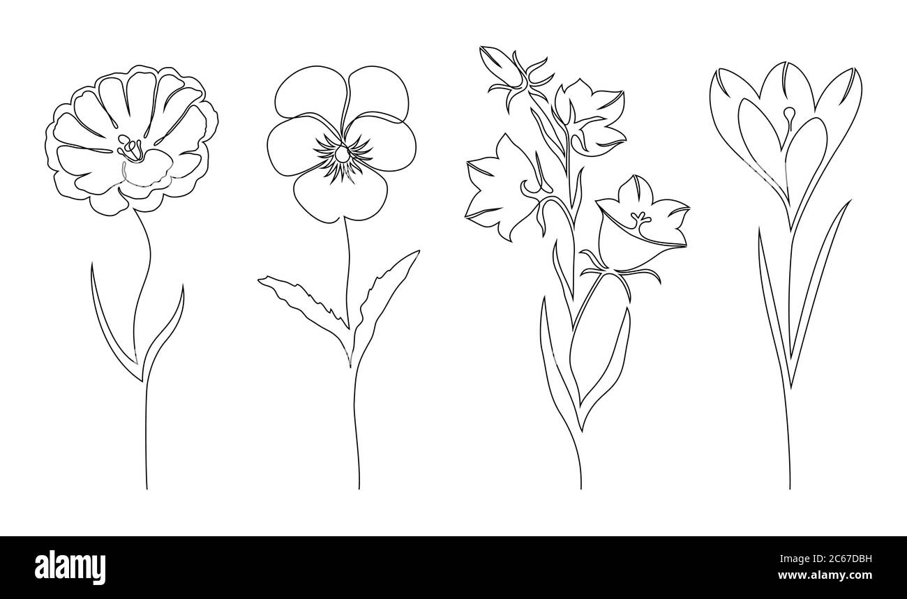 Ensemble de fleurs Illustration de Vecteur