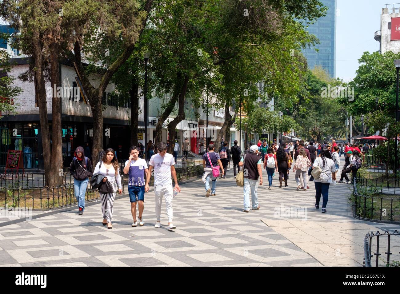 ona Rosa, un quartier cosmopolite de Mexico, bien connu pour ses restaurants, ses bars et son style de vie dynamique Banque D'Images