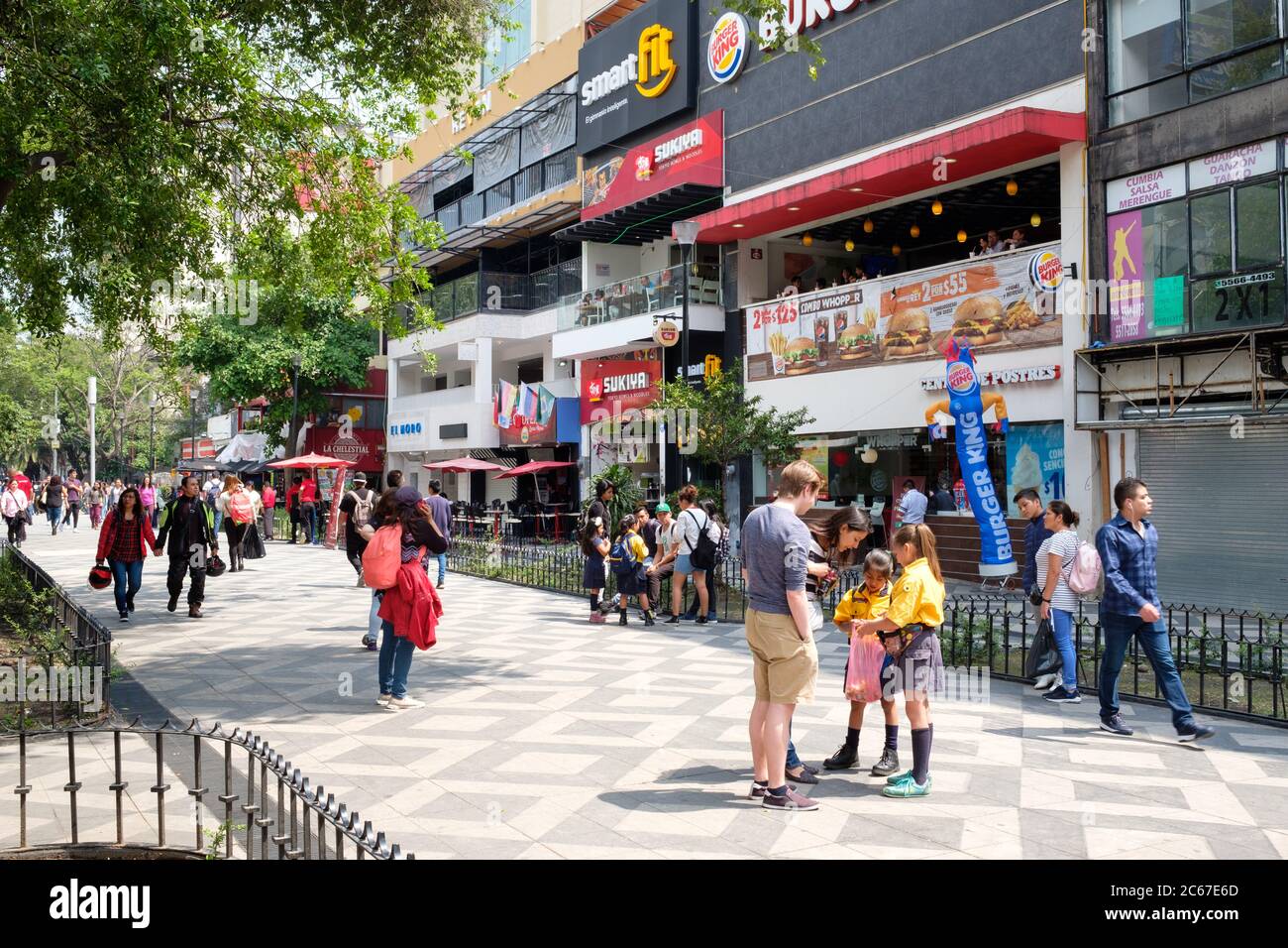 ona Rosa, un quartier cosmopolite de Mexico, bien connu pour ses restaurants, ses bars et son style de vie dynamique Banque D'Images