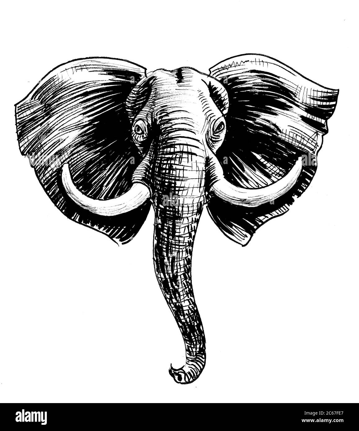 Tete D Elephant D Afrique Dessin Noir Et Blanc Photo Stock Alamy Tete D Elephant D Afrique Dessin Noir Et Blanc Photo Stock Alamy