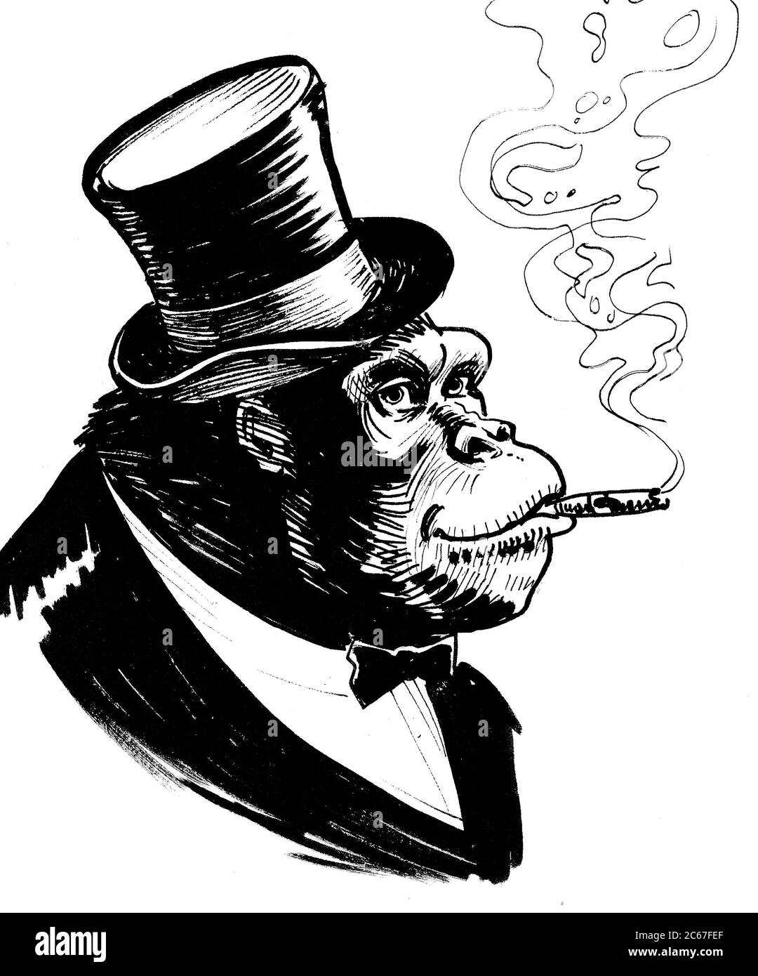 Gorille riche en cylindre avec un cigare. Dessin noir et blanc Banque D'Images