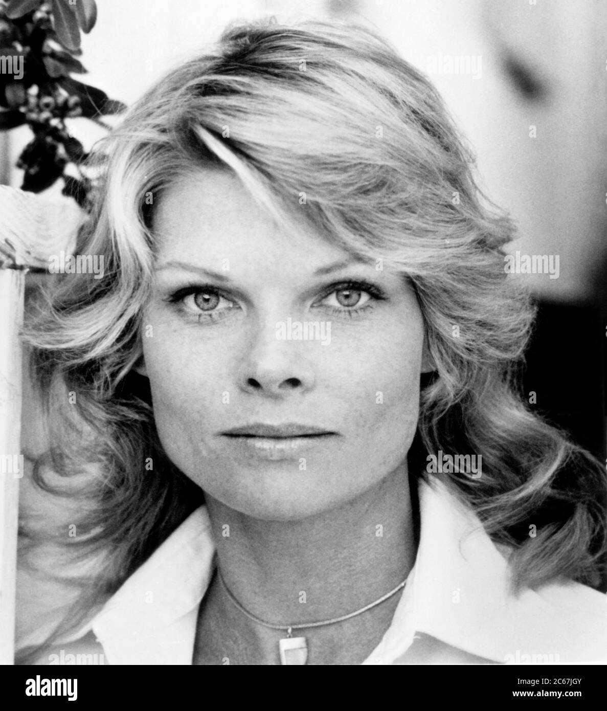 Cathy Lee Crosby, Head and Houlders Publicity Portrait for the film, 'Trackdown', United Artists, 1976 Banque D'Images