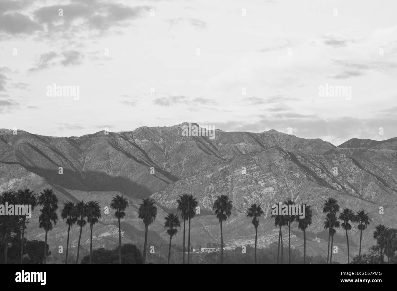 Paysage montagneux pittoresque avec palmiers, Santa Barbara, Californie, États-Unis Banque D'Images