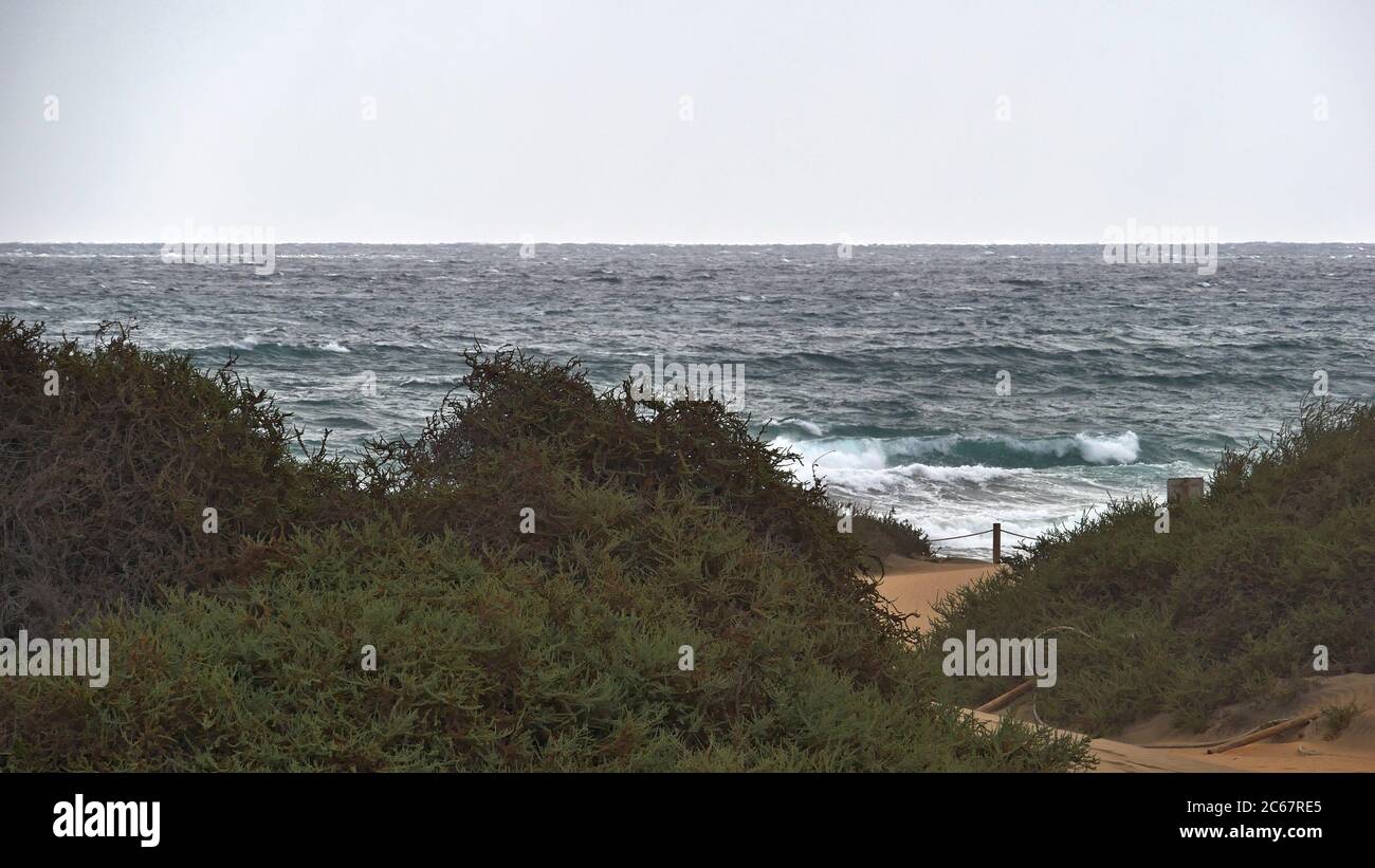 Dunas de Maspalomas - Gran Canaria - Espagne - les dunes dans la tempête - mer turbulente Banque D'Images