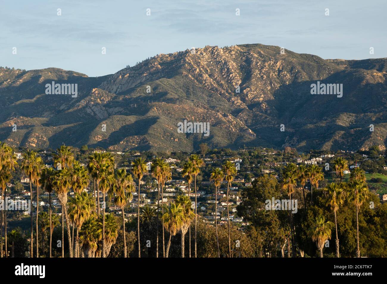 Palmiers contre des maisons de ville debout au pied de la colline, Santa Barbara, Californie, États-Unis Banque D'Images