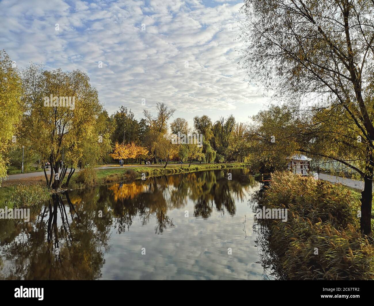 Automne doré dans le parc avec des arbres et des nuages reflétant dans l'eau sombre du lac à Kiev (Kiev) ville, Ukraine. Banque D'Images