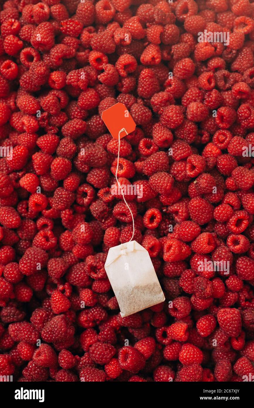 Sachet de thé sur fond de framboise, texture de framboises. Banque D'Images