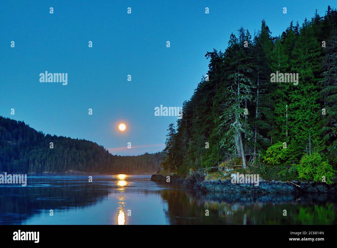 Une longue exposition de la lune qui surmonte Brown's Bay près de Campbell River sur l'île de Vancouver, Colombie-Britannique, Canada Banque D'Images