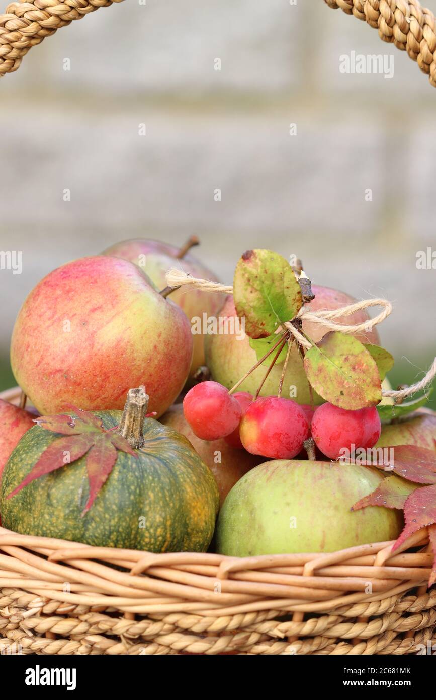 panier avec pommes, citrouilles et pommes de crabe Banque D'Images