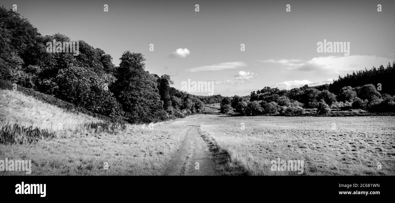 Vue sur le chemin de la rivière Boyne, comté de Meath, Irlande Banque D'Images