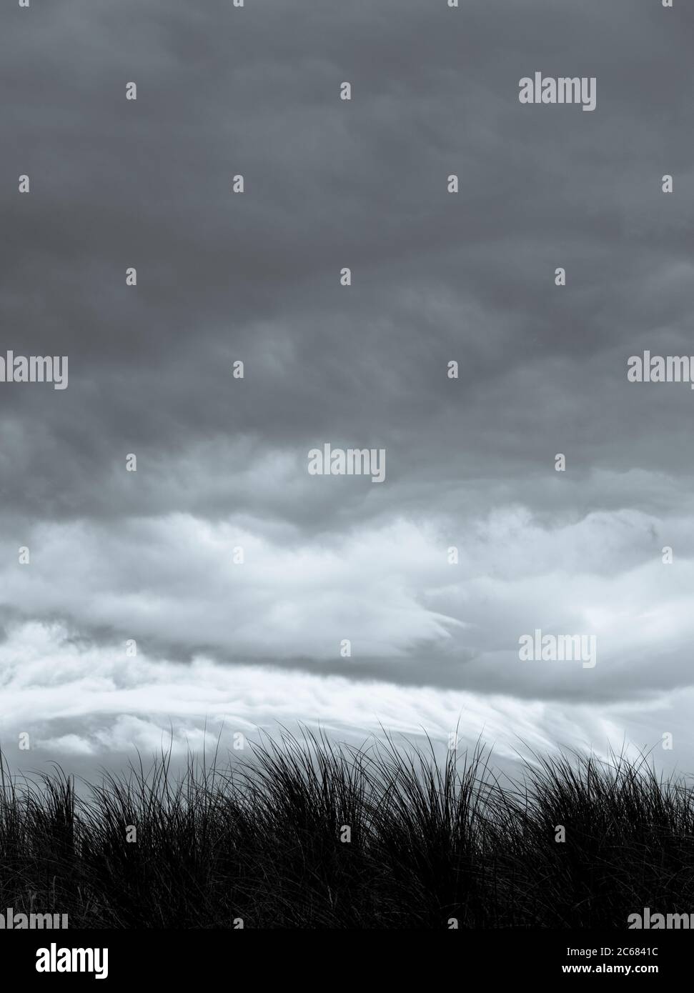 Tempête de nuages et d'herbe sur les dunes à la plage Inch sur la péninsule de Dingle, Inch, comté de Kerry, Irlande Banque D'Images