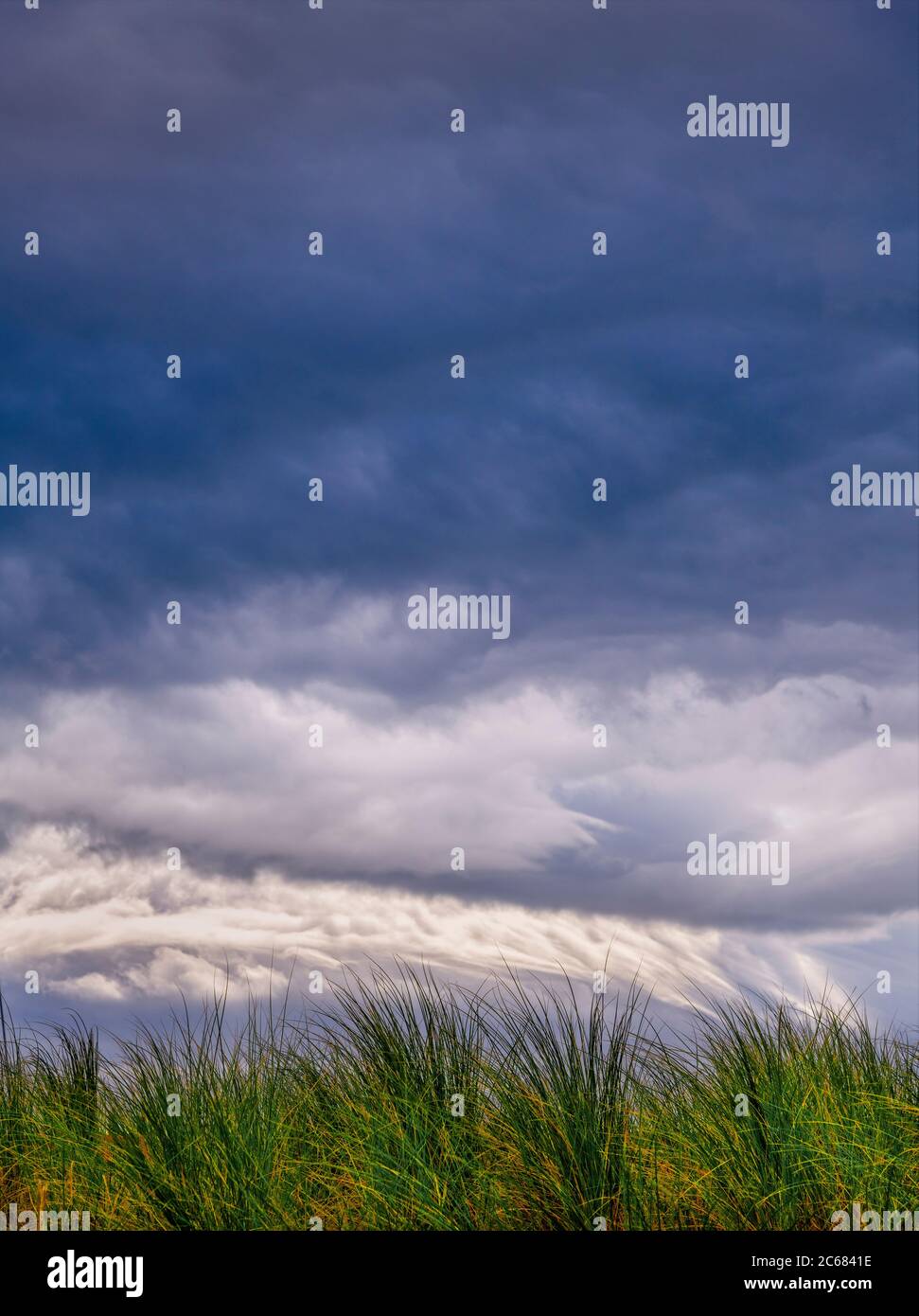 Tempête de nuages et d'herbe sur les dunes à la plage Inch sur la péninsule de Dingle, Inch, comté de Kerry, Irlande Banque D'Images