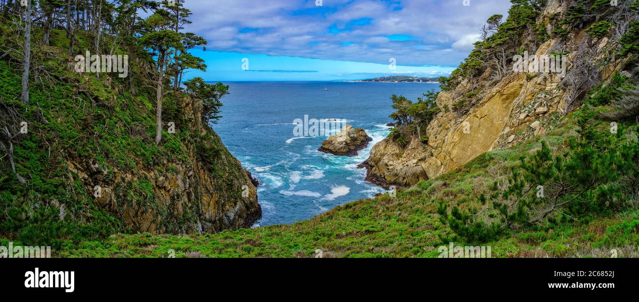 Vue sur Cypress Cove, réserve d'État de point Lobos, Carmel, Californie, États-Unis Banque D'Images