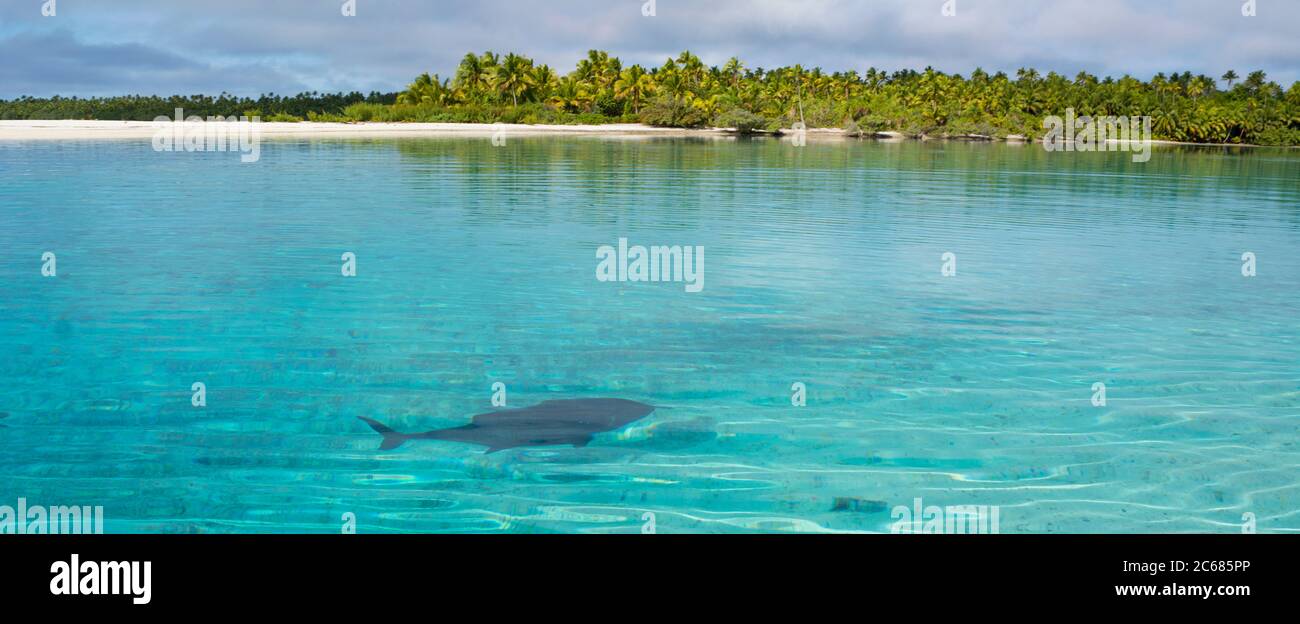 Pêche en mer près de Tapuaetai Motu, Aitutaki, Iles Cook Banque D'Images