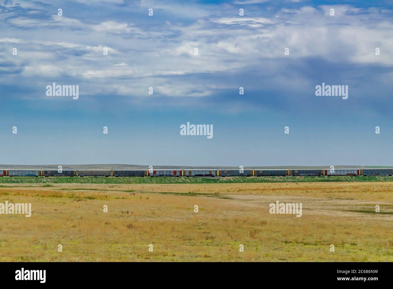 Wagons sur voie d'évitement, Colorado USA Banque D'Images