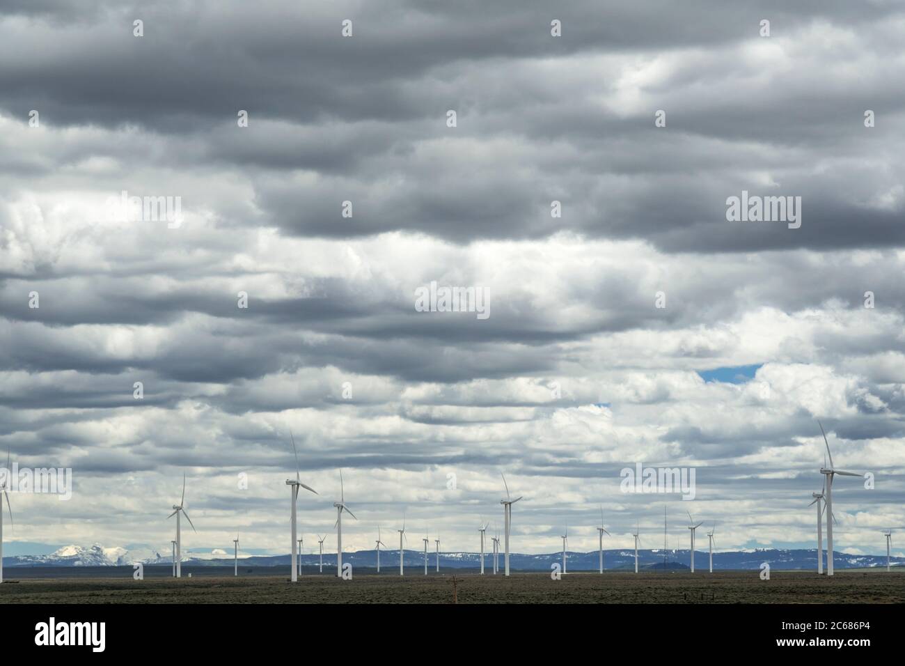 De nombreuses éoliennes, Wyoming, États-Unis Banque D'Images