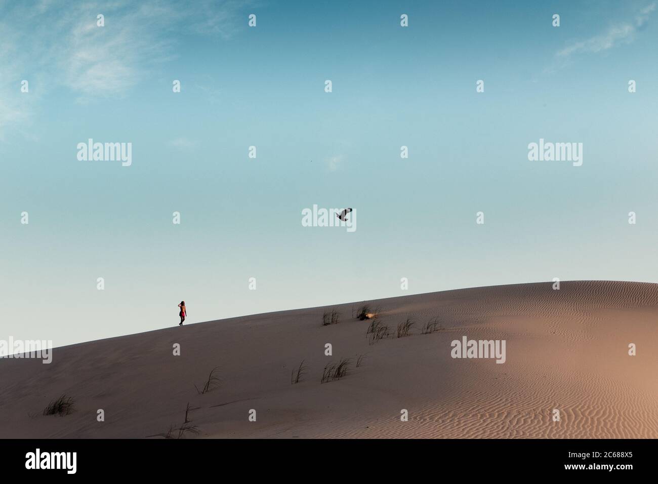 Enfant debout à côté de l'oiseau volant au sommet de une dune Banque D'Images