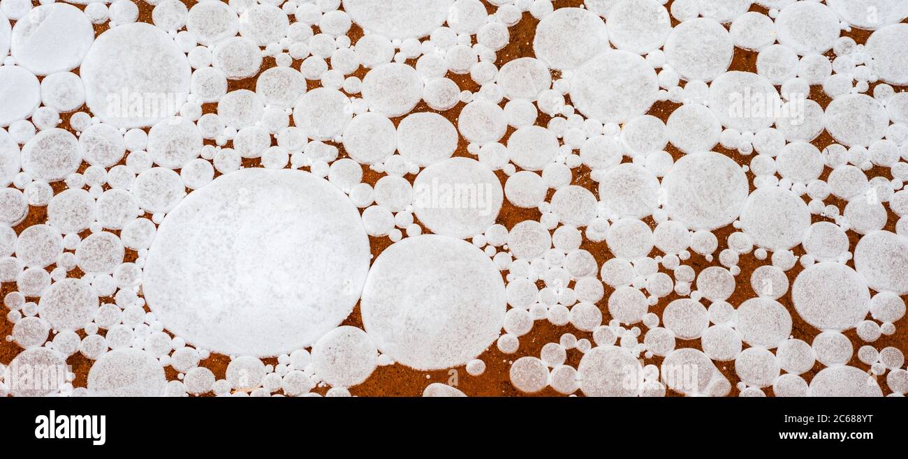 Frozen Bubbles, Parc national d'Arches, Moab, Utah, États-Unis Banque D'Images