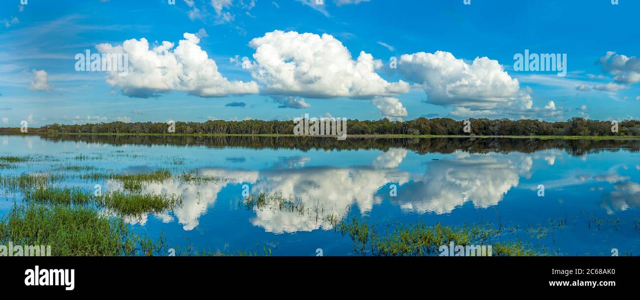 Nuages blancs se reflétant dans le lac supérieur Myakka, Sarasota, Floride, États-Unis Banque D'Images