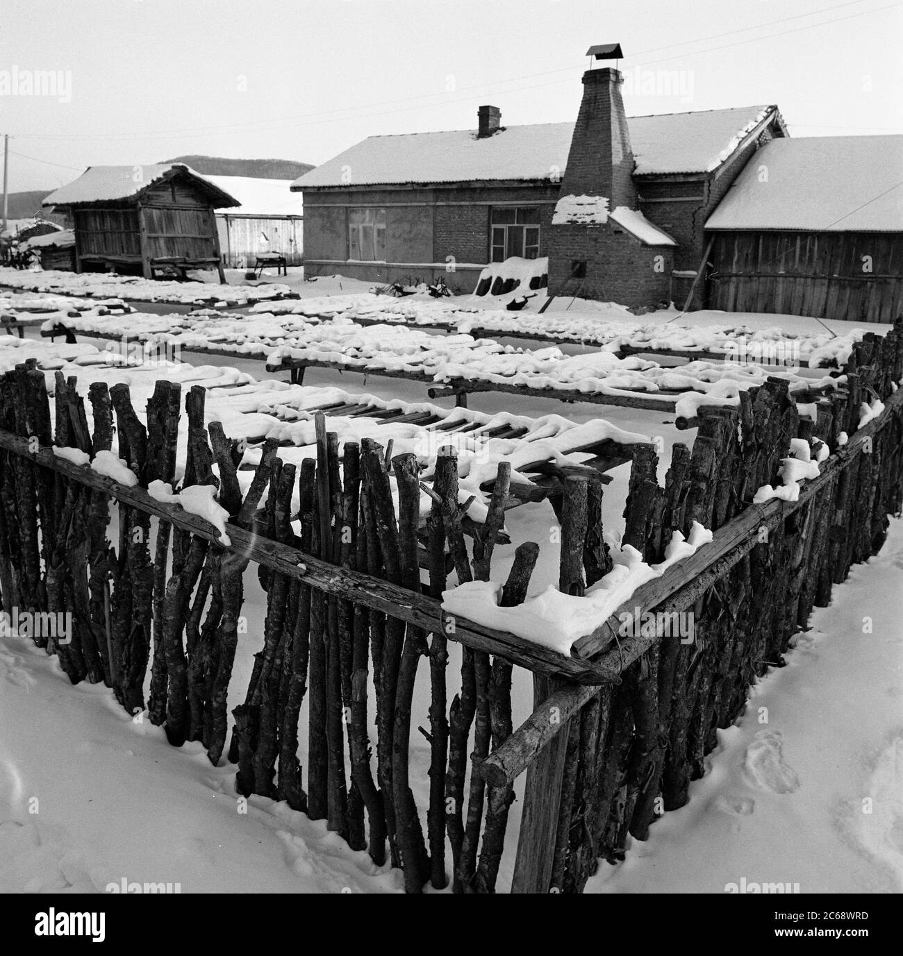 Mudanjiang siège au nord-est de neige village noir et blanc Banque D'Images