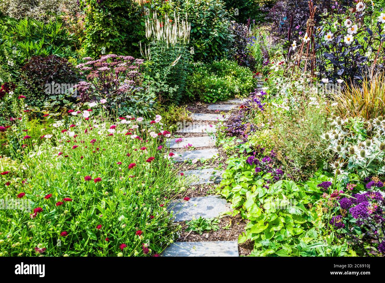 Un chemin de jardin entre les buissons et les frontières herbacées dans un jardin de campagne anglais. Banque D'Images