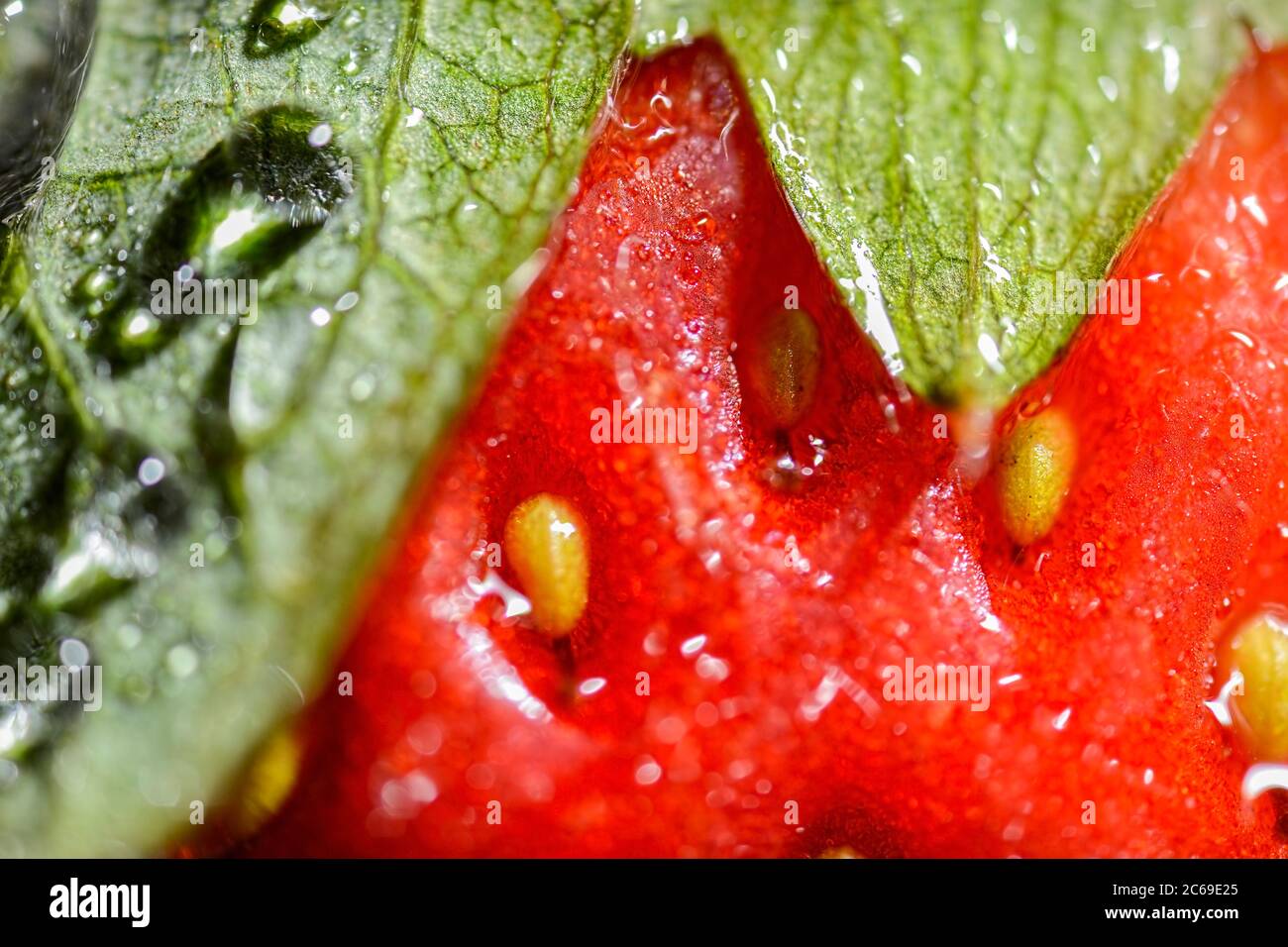 Photo macro ultra-récente d'une fraise australienne Banque D'Images