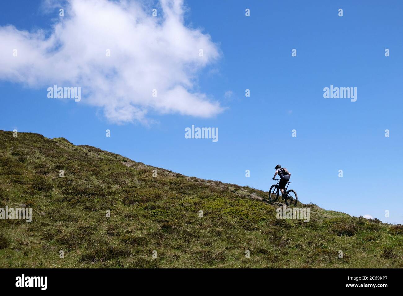 Motard de montagne sur la crête de Glaser ; Glaspass, parc naturel Beverin, canton des Grisons, Suisse. Banque D'Images