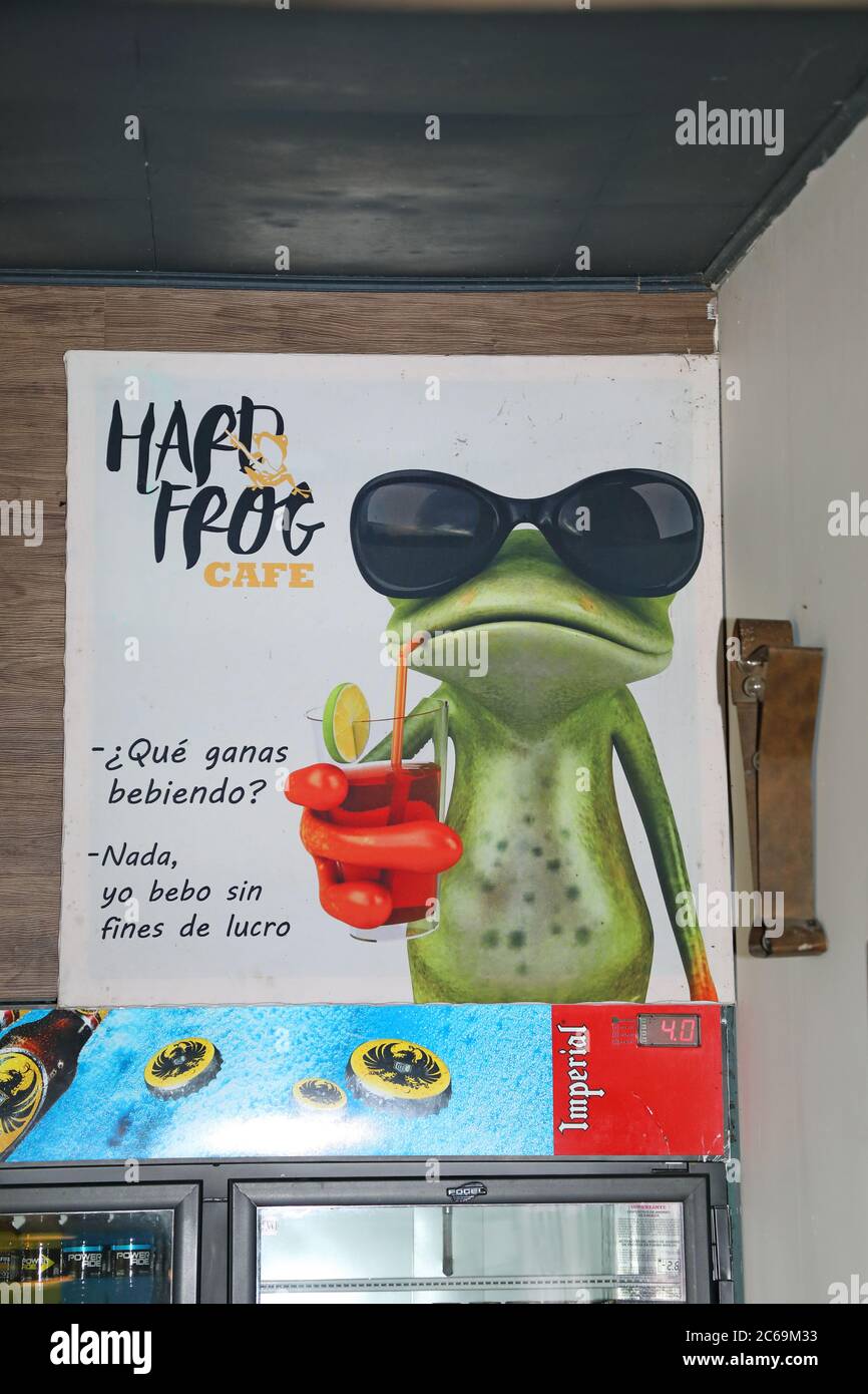 Publicité avec grenouille dans un restaurant à la passerelle, Costa Rica, Monteverde Banque D'Images
