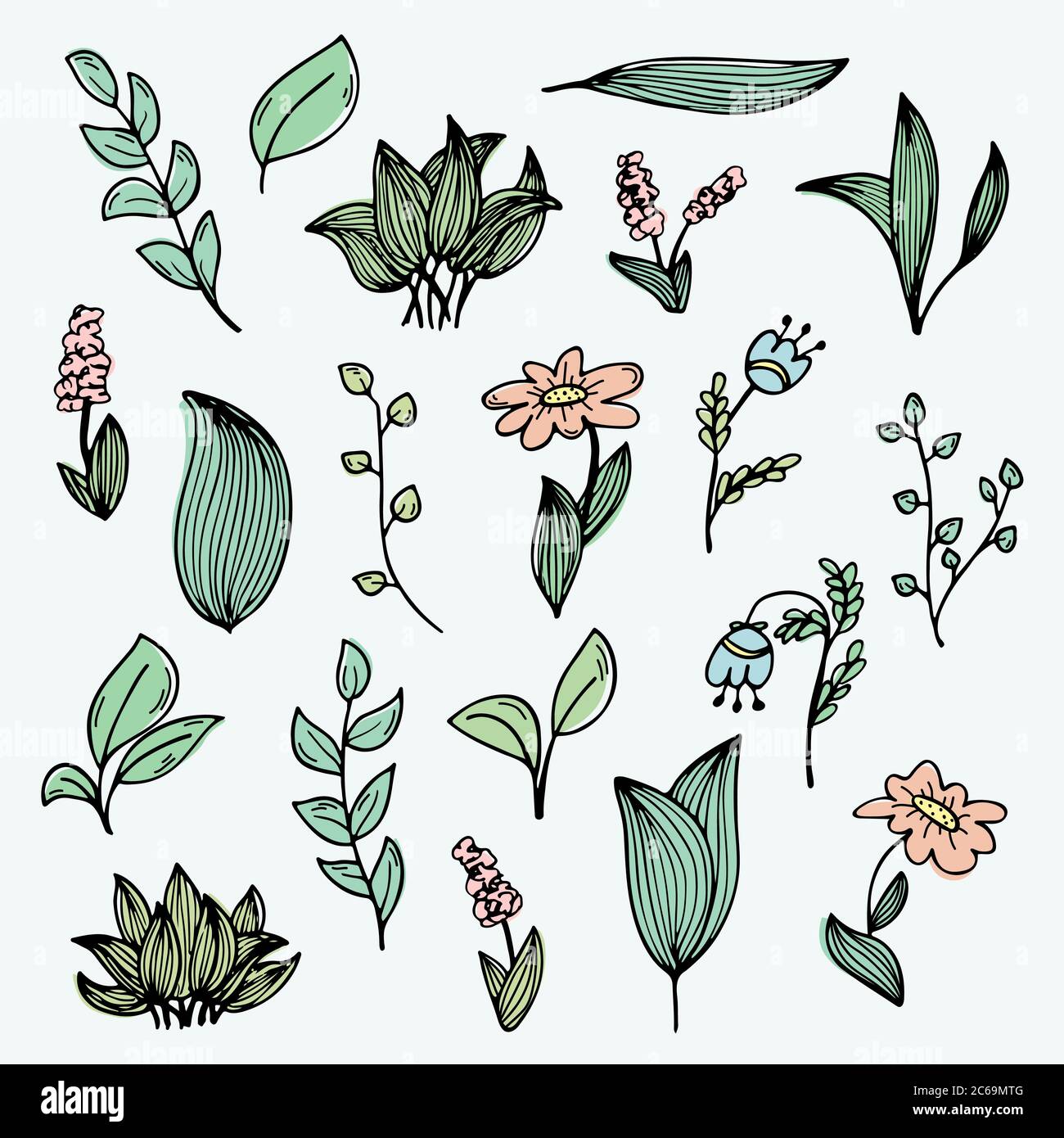 Un ensemble de gribouillages de fleurs et de plantes dessinés à la main. Illustrations en couleur Illustration de Vecteur