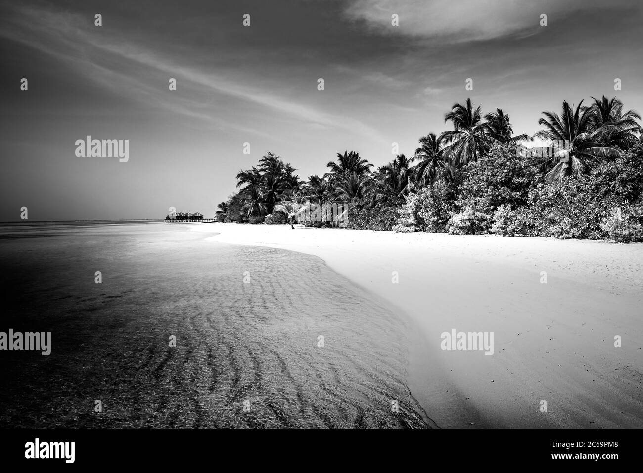 Paysage abstrait noir et blanc de plage tropicale. Paradise Island, avec sable de mer calme et palmiers, artistique spectaculaire noir et blanc monochrome Banque D'Images