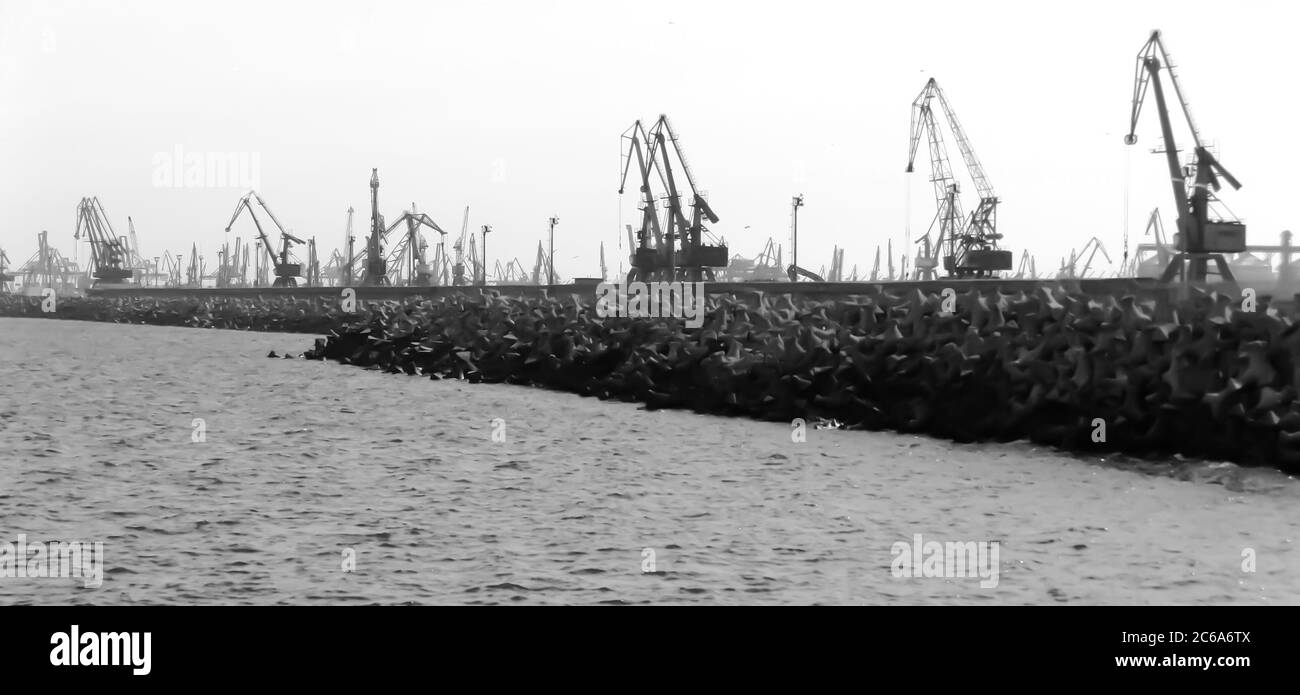 Grues dans le grand port commercial de Constanta sur la côte de la mer Noire de Roumanie. Banque D'Images
