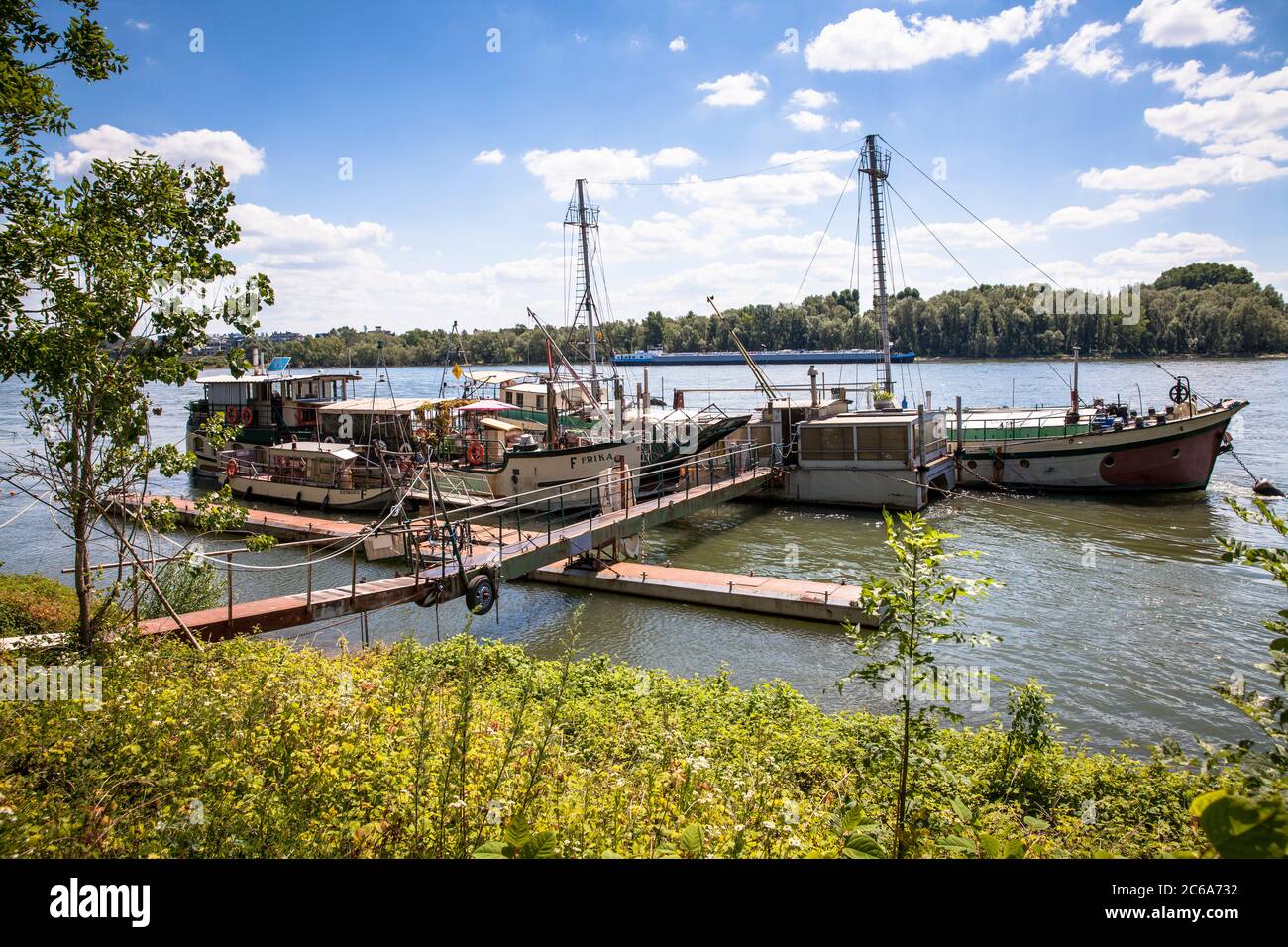 Vieux navires sur les rives du Rhin dans le district de Weiss, Cologne, Allemagne. alte Schiffe am Rheinufer im Stadtteil Weiss, Weisser Bogen, Koeln Banque D'Images