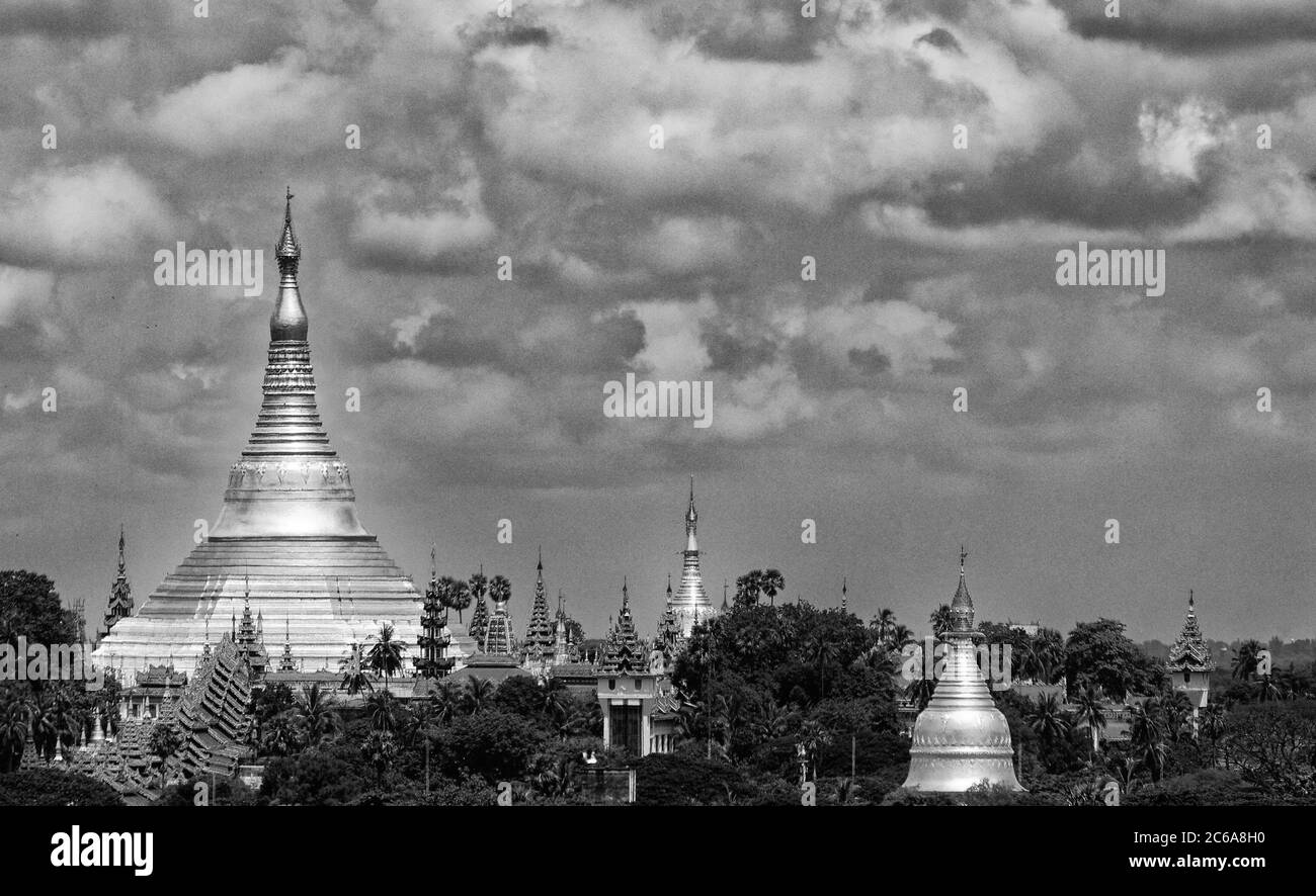 La Pagode historique dorée Shwedagon et stupas sur la ligne d'arbre à Yangon, Myanmar, officiellement Rangoon, Birmanie, noir et blanc monochrome Banque D'Images
