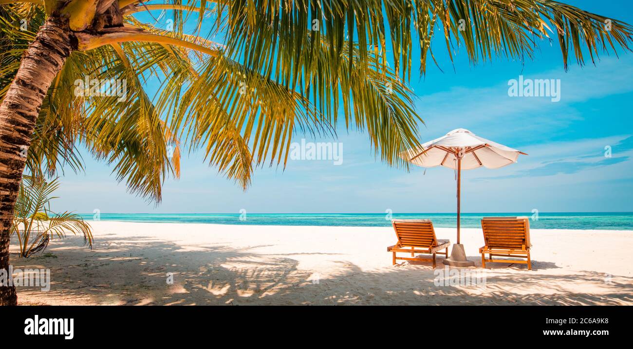 Magnifique bannière tropicale sur la plage. Sable blanc et coco-palmiers Voyage tourisme large panorama fond concept. Paysage de plage incroyable Banque D'Images