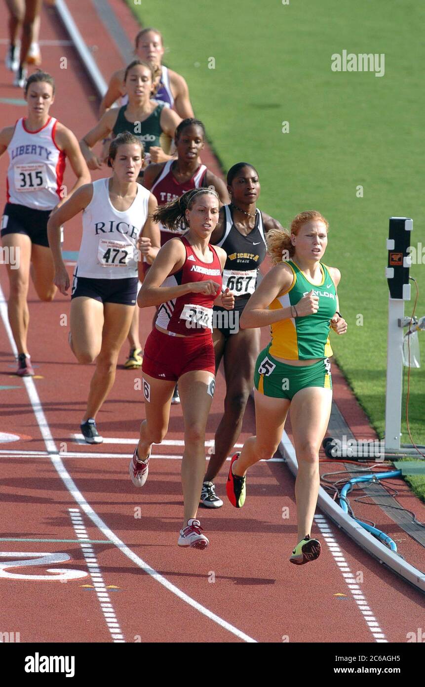 Austin, Texas, États-Unis, juin 2004 : les femmes participent à la course de 800 mètres aux championnats d'athlétisme de la Division I Outdoor Track & Field de la National Collegiate Athletic Association (NCAA). ©Bob Daemmrich Banque D'Images