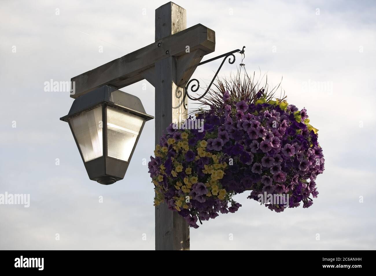 Fleur,panier,suspension,poteau,torche,rue,lumière,présentoir,Ontario Banque D'Images