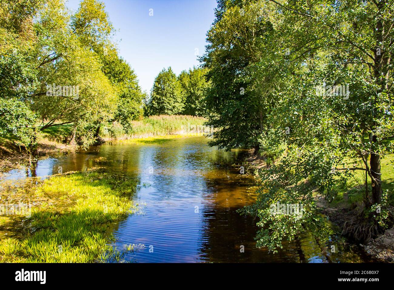 Un bel étang parmi les arbres verts. Paysage ensoleillé d'été Banque D'Images