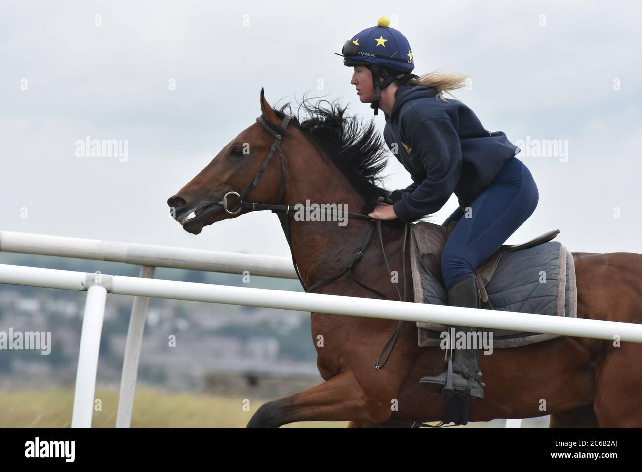 Cheval sur des gallops de faible Moor de Middleham Banque D'Images