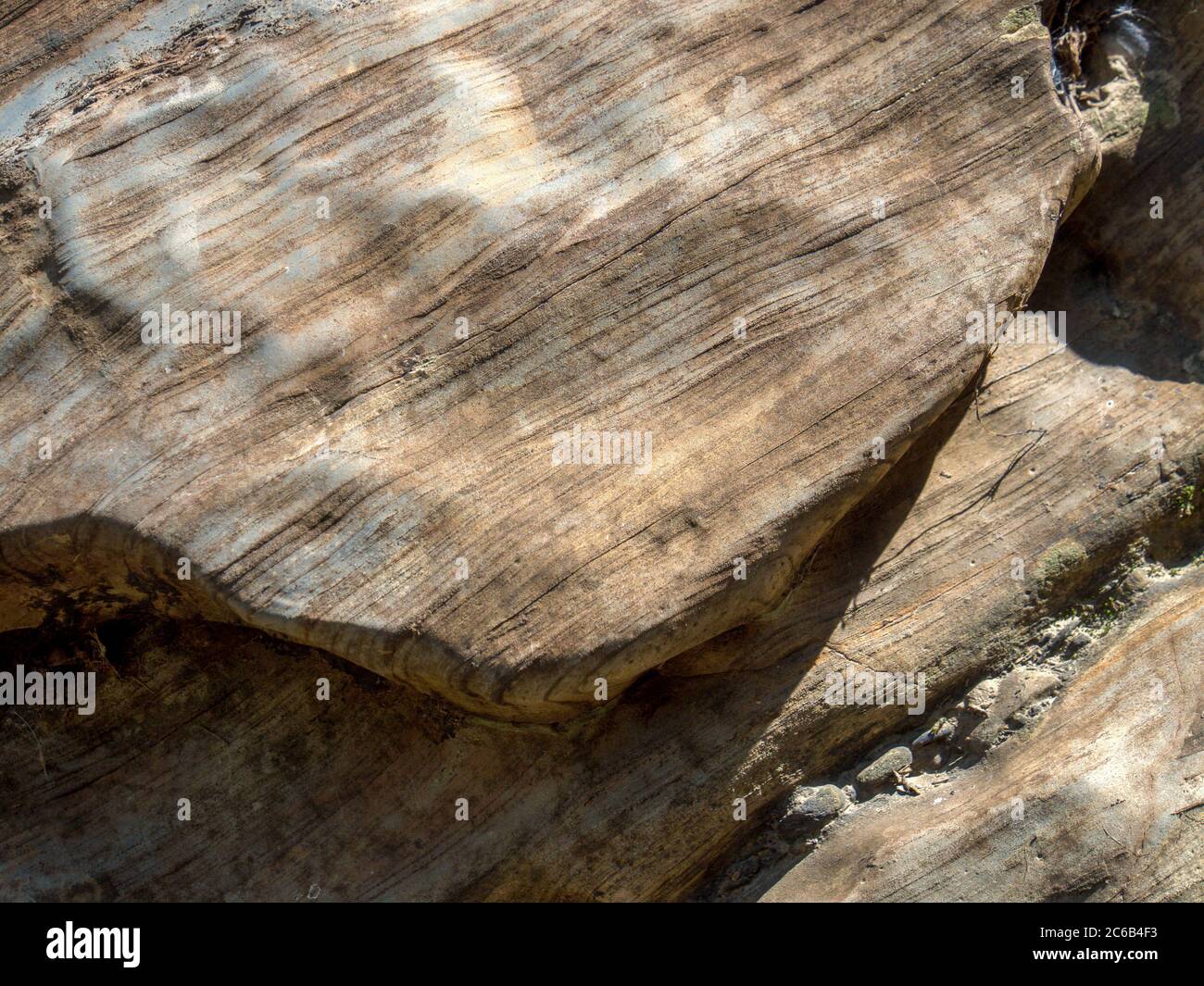 Photographie rapprochée de la texture d'un rocher, capturée au fleuve Moniquira, près de la ville de Gachantiva dans le département de Boyaca, Colombie Banque D'Images