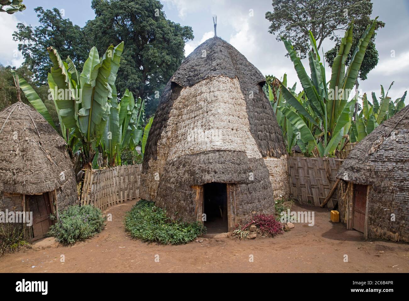 Huttes traditionnelles de ruches de la tribu Dorze qui habitent la zone de Gamo Gofa de la région des nations, nationalités et peuples du Sud en Éthiopie, en Afrique Banque D'Images