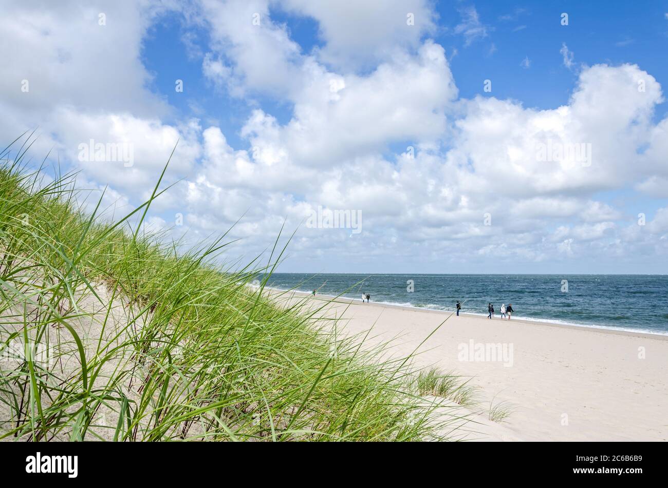 Plage herbe sur une dune près de la plage et de l'océan sur la côte allemande de la mer du Nord Banque D'Images