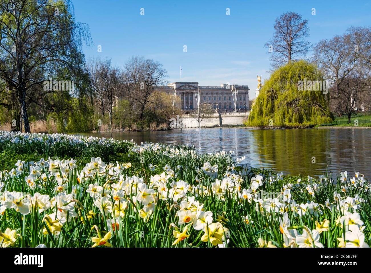 Vue sur Buckingham Palace au printemps depuis St. James's Park, Londres, Angleterre, Royaume-Uni, Europe Banque D'Images