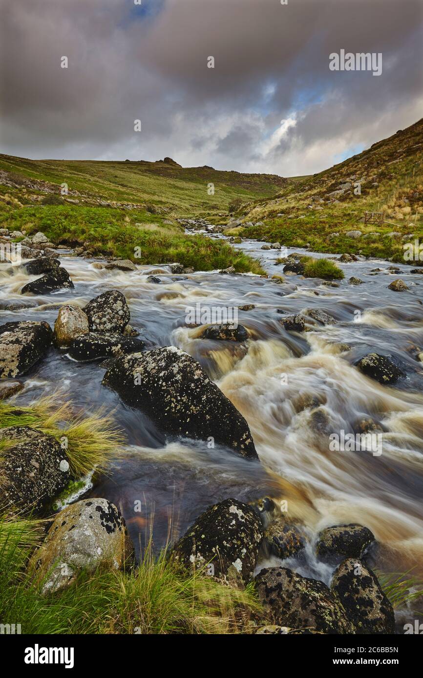 Une rivière de la lande se précipite dans une vallée, en route des landes à la mer, la rivière Tavy, dans le parc national de Dartmoor, Devon, Angleterre, Unite Banque D'Images