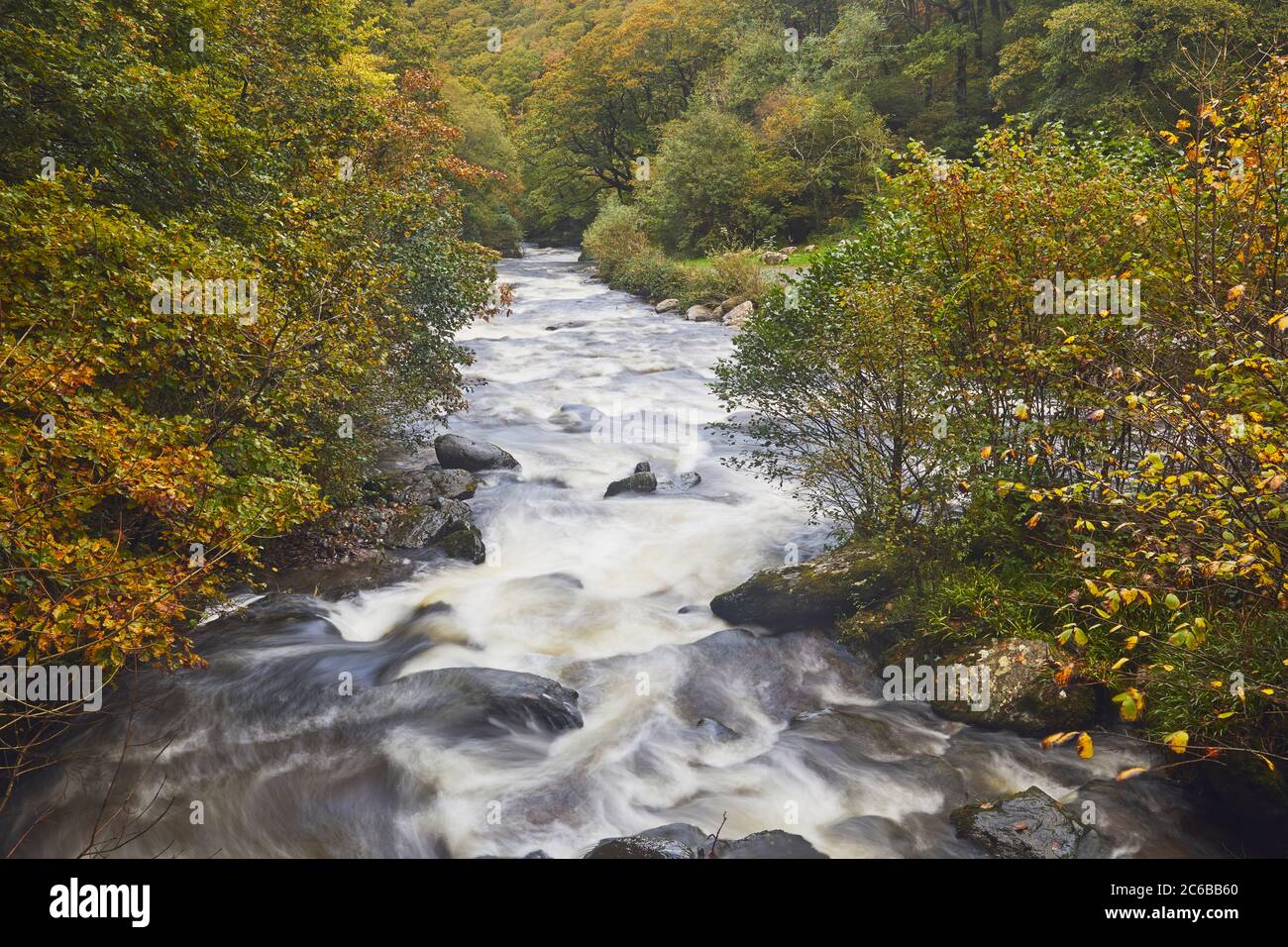 Vue sur une rivière de la lande entourée d'une forêt ancienne d'automne, la rivière East Lyn, à Watersmeet, parc national d'Exmoor, Devon, Angleterre, United King Banque D'Images