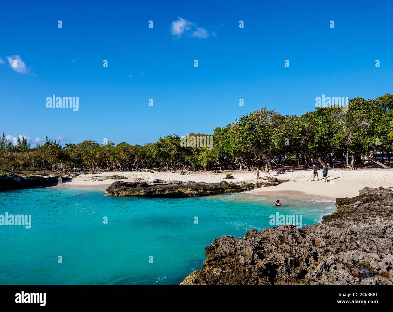 Smith Cove Beach, George Town, Grand Cayman, Iles Caïmans, Caraïbes, Amérique centrale Banque D'Images