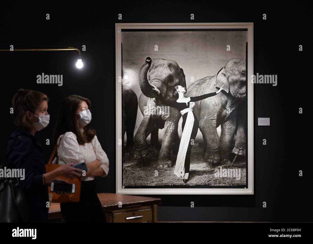 Dovima with elephants Banque de photographies et d’images à haute