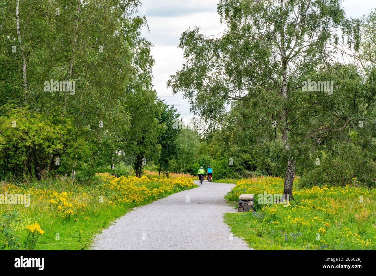 Gleispark FRINTp, ancien dépôt de fret, qui a été transformé en parc paysager après sa fermeture, Essen, NRW, Allemagne Banque D'Images