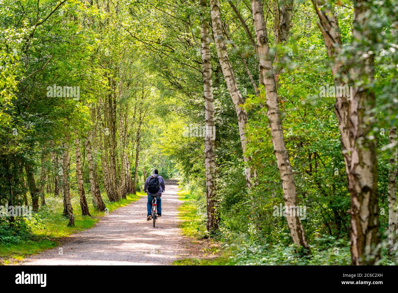 Gleispark FRINTp, ancien dépôt de fret, qui a été transformé en parc paysager après sa fermeture, Essen, NRW, Allemagne Banque D'Images